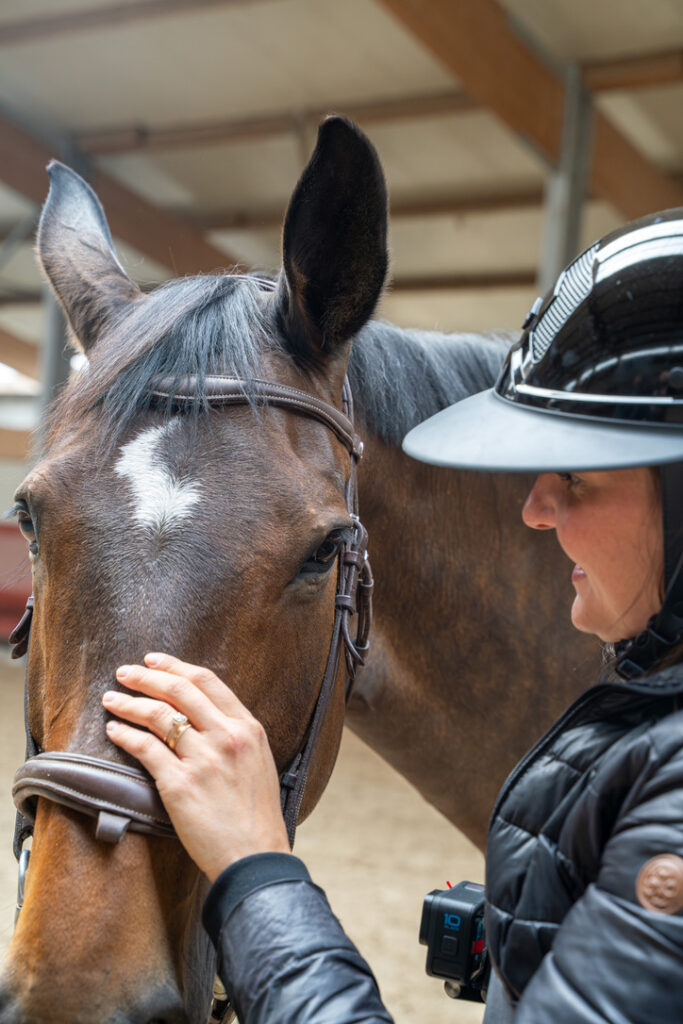 Les cours d'équitation s'adressent à tous les niveaux aux Ecuries de la Malle