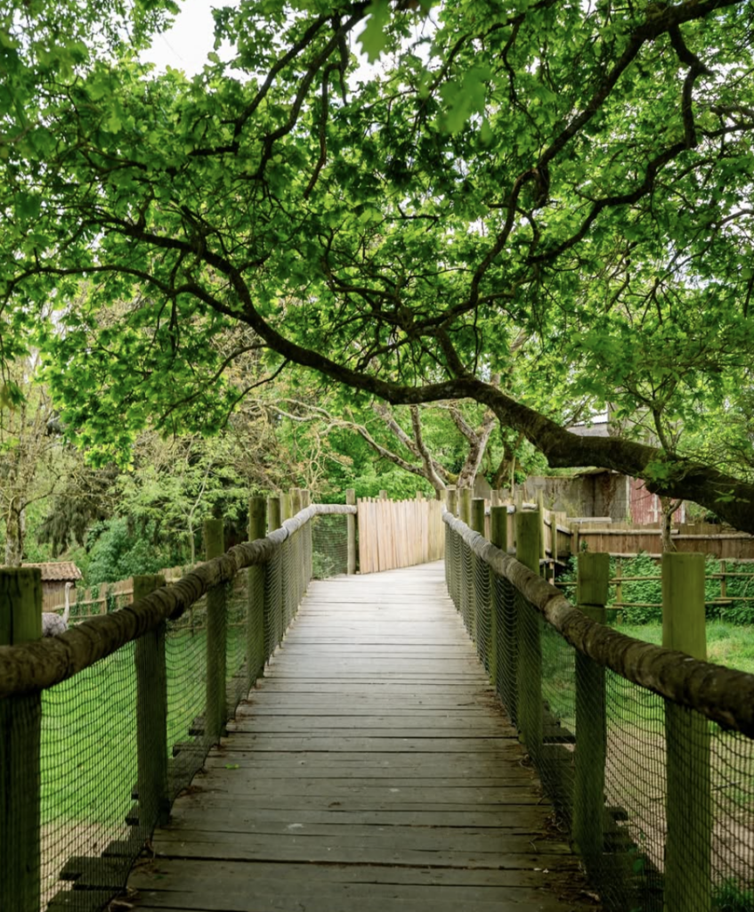 Natural’Parc, photo 2