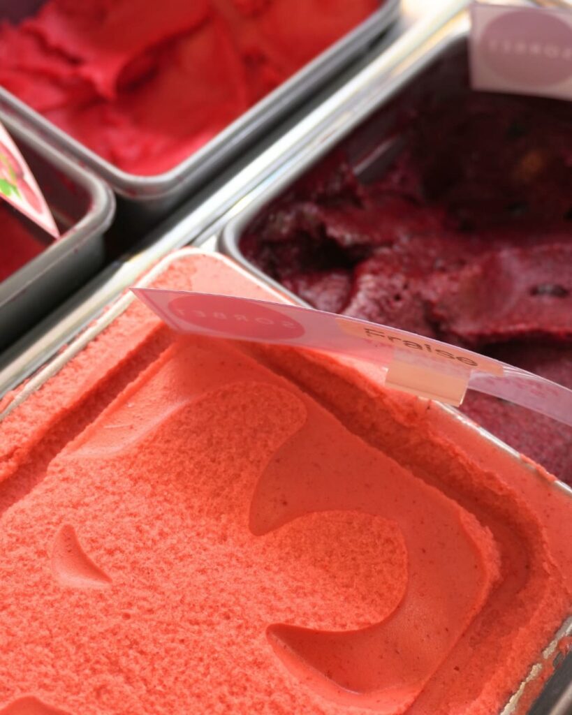 bac de glace les jolies glaces à saint jean de luz