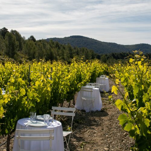 bastide de la ciselette