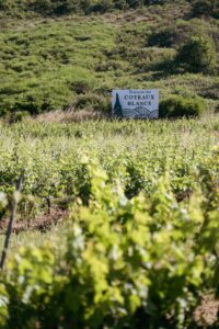Domaine des Coteaux Blancs à Angers