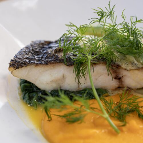 Le poisson du jour au Mengem à Port-Vendres