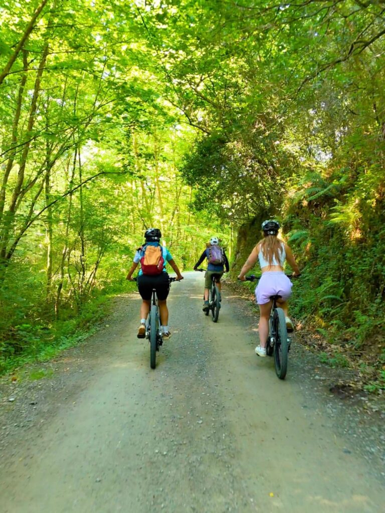 Foret VTT NOA Adventure Saint Pee sur Nivelle