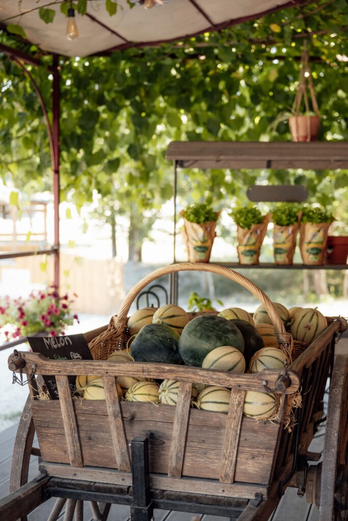 Melons et Pastèques vous attendent