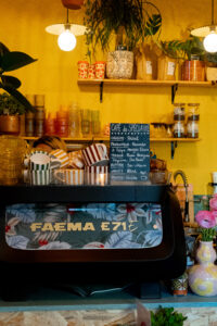 Mimimosa à Rouen