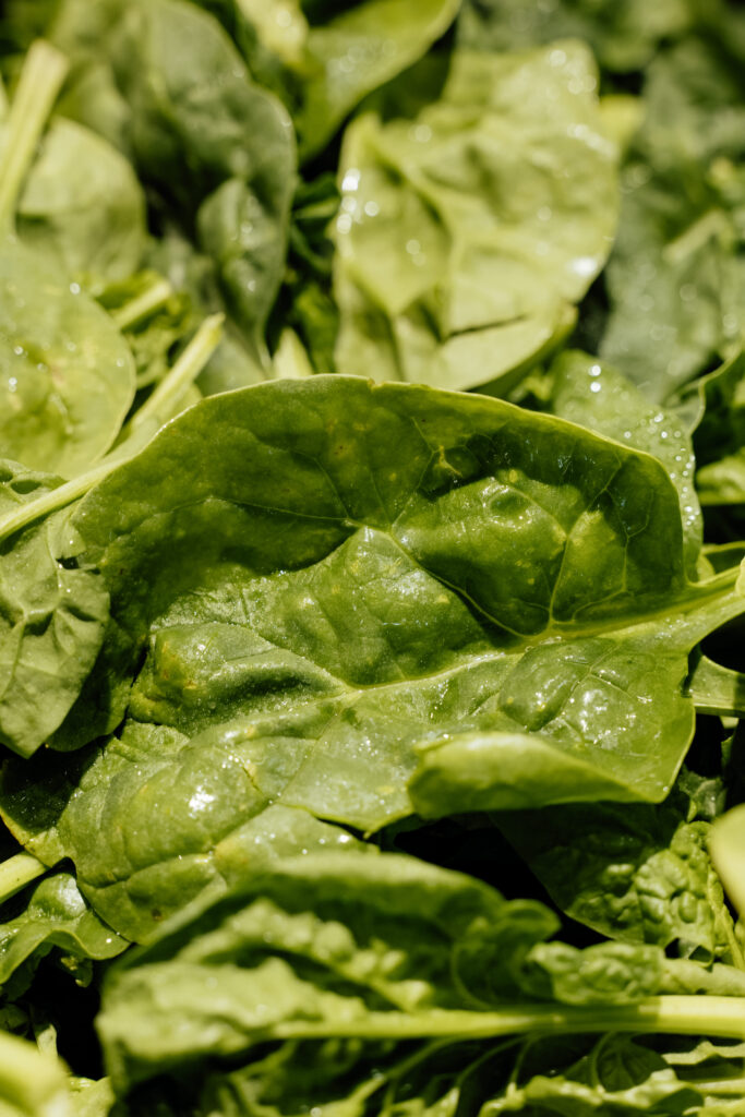 Les salades