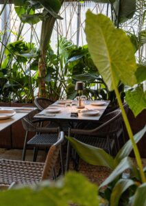 Brasserie Prova à Ajaccio