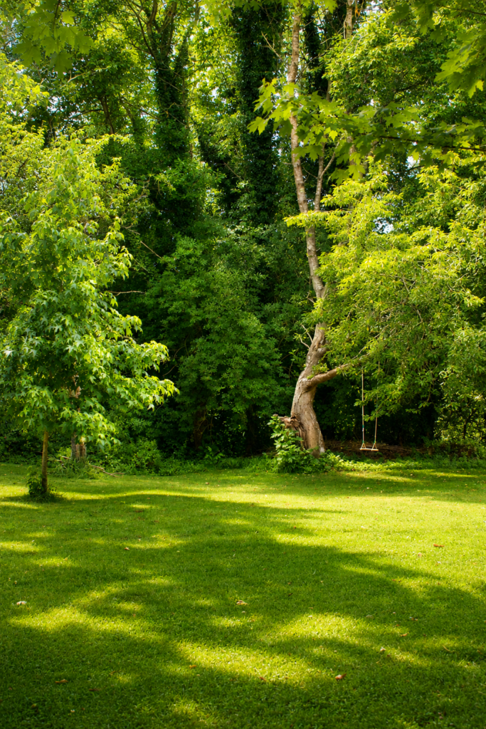 Le Domaine du Petit Tertre, photo 2
