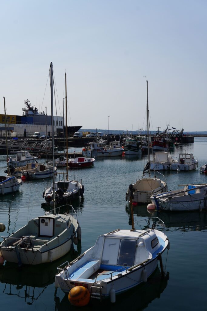 Au P'tit Gréement à Brest vue sur le port