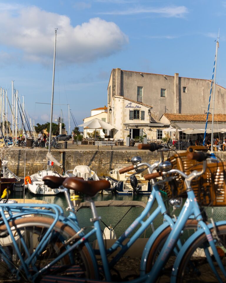 La Baleine Bleue