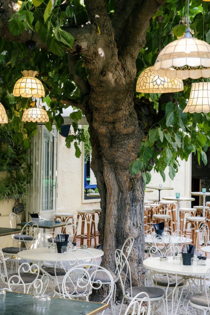 Le patio du Botanic à Canet-Plage