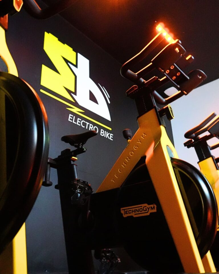 velo electro bike bayonne