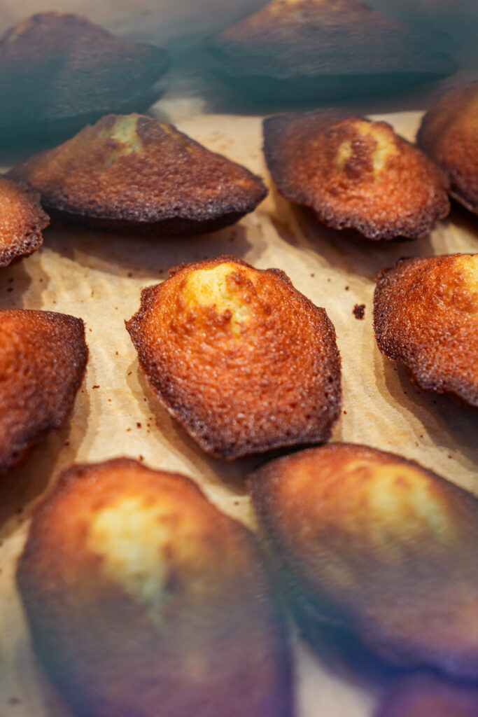 Cœur de Madeleines, photo 3