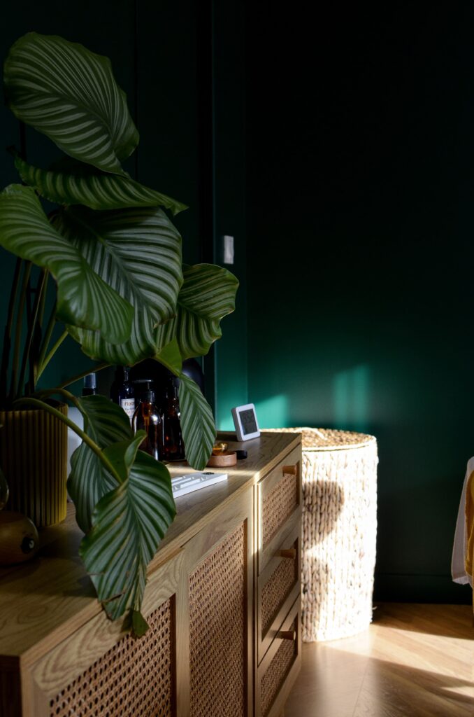 Le mobilier et la décoration du cabinet Le Studio à Noizay